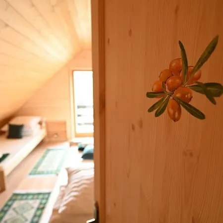 Poziomkowy Dom- Wisla, Dom Z Bali, Sauna, Taras וילה